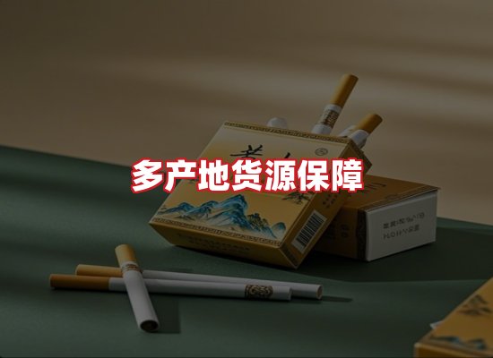 专业团队
